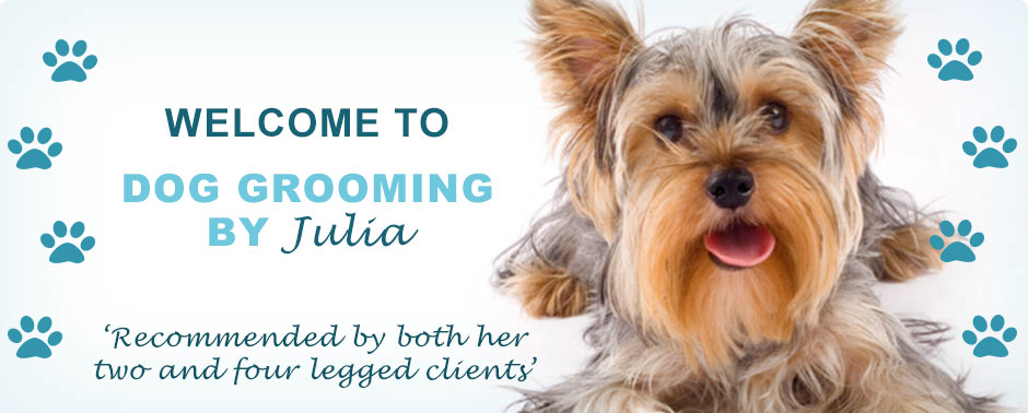 dog grooming rubery