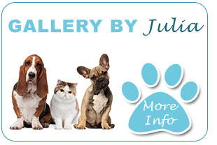 Dog Grooming by Julia  Dog Grooming, Cat Grooming Rubery, Birmingham